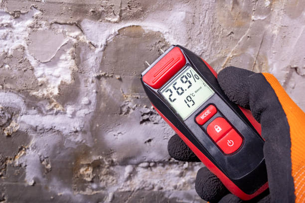 Best Crawl Space Mold Remediation in Owosso, MI